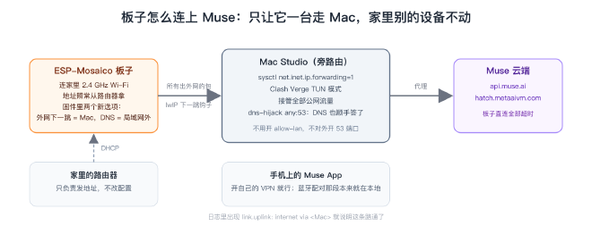 板子怎么连上 Muse：只让它一台走 Mac，家里别的设备不动